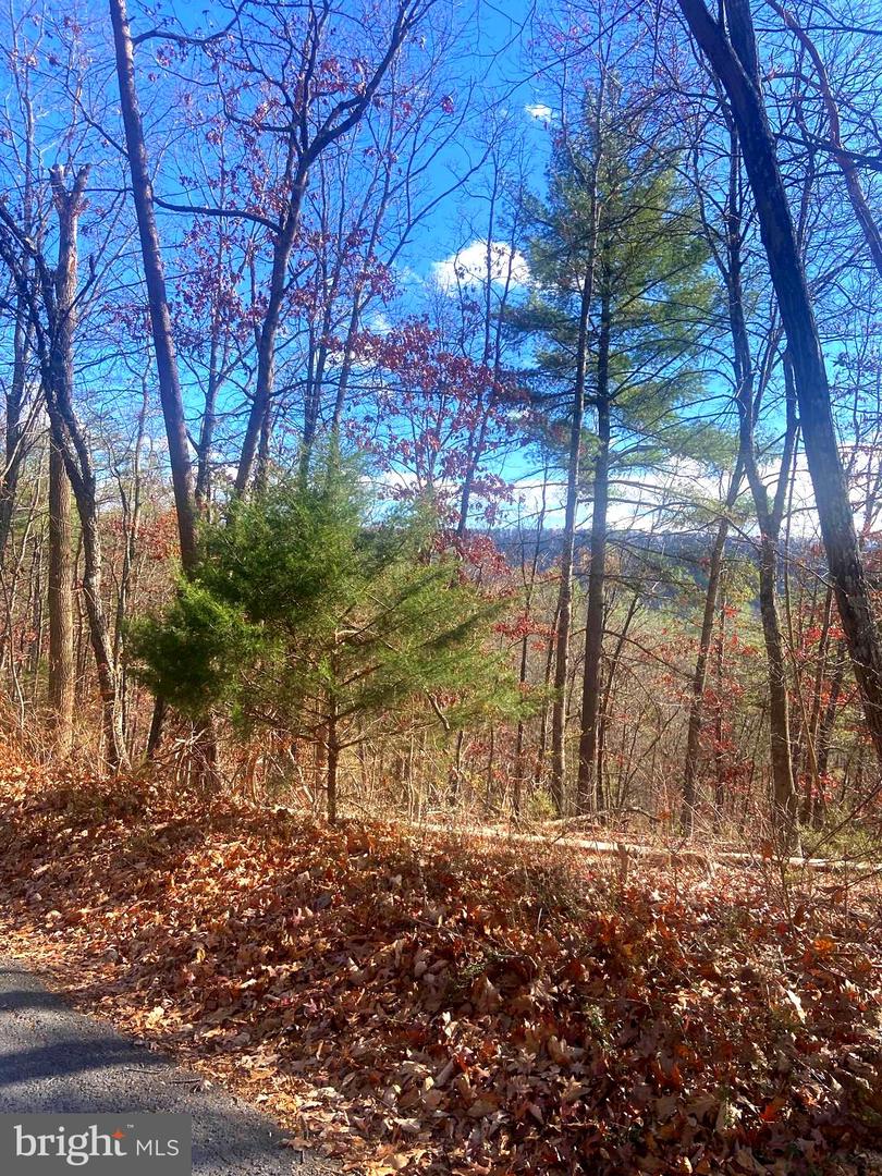 SPITZ LN, BASYE, Virginia 22810, ,Land,For sale,SPITZ LN,VASH2013020 MLS # VASH2013020 SPITZ LN, BASYE, Virginia 22810, ,Land,For sale,SPITZ LN,VASH2013020 MLS # VASH2013020