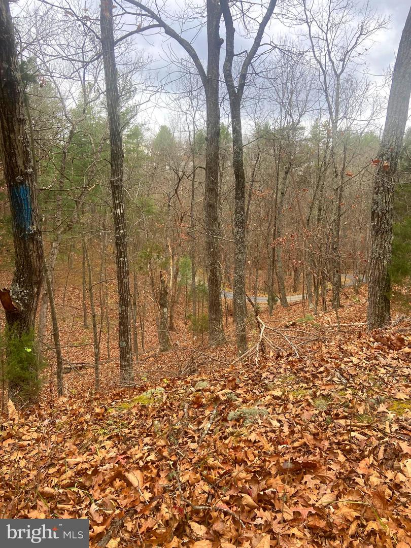 SPITZ LN, BASYE, Virginia 22810, ,Land,For sale,SPITZ LN,VASH2013020 MLS # VASH2013020 SPITZ LN, BASYE, Virginia 22810, ,Land,For sale,SPITZ LN,VASH2013020 MLS # VASH2013020