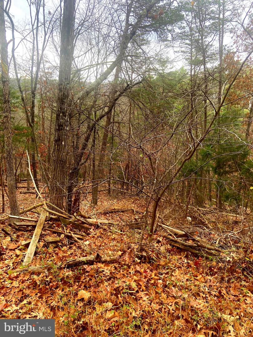 SPITZ LN, BASYE, Virginia 22810, ,Land,For sale,SPITZ LN,VASH2013020 MLS # VASH2013020 SPITZ LN, BASYE, Virginia 22810, ,Land,For sale,SPITZ LN,VASH2013020 MLS # VASH2013020