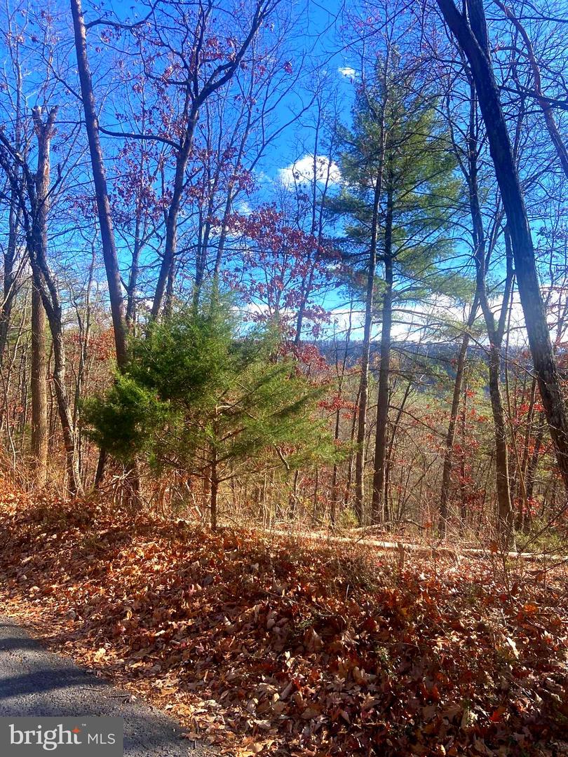 SPITZ LN, BASYE, Virginia 22810, ,Land,For sale,SPITZ LN,VASH2013116 MLS # VASH2013116