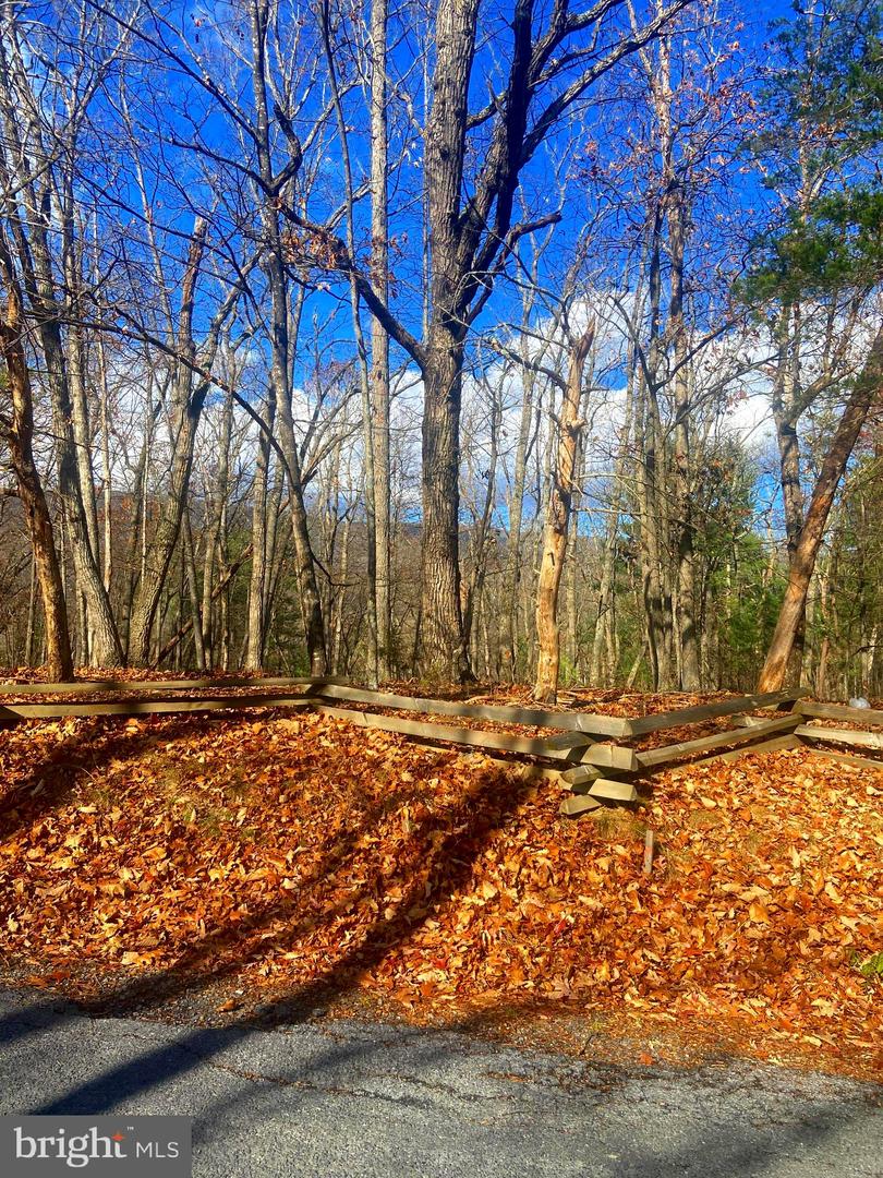 SPITZ LN, BASYE, Virginia 22810, ,Land,For sale,SPITZ LN,VASH2013116 MLS # VASH2013116