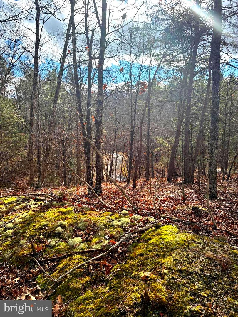 KING ST, BASYE, Virginia 22810, ,Land,For sale,KING ST,VASH2013230 MLS # VASH2013230 KING ST, BASYE, Virginia 22810, ,Land,For sale,KING ST,VASH2013230 MLS # VASH2013230