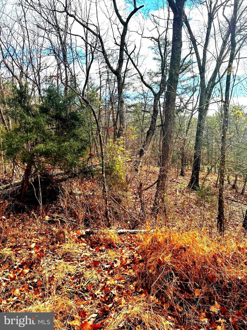 KING ST, BASYE, Virginia 22810, ,Land,For sale,KING ST,VASH2013230 MLS # VASH2013230 KING ST, BASYE, Virginia 22810, ,Land,For sale,KING ST,VASH2013230 MLS # VASH2013230