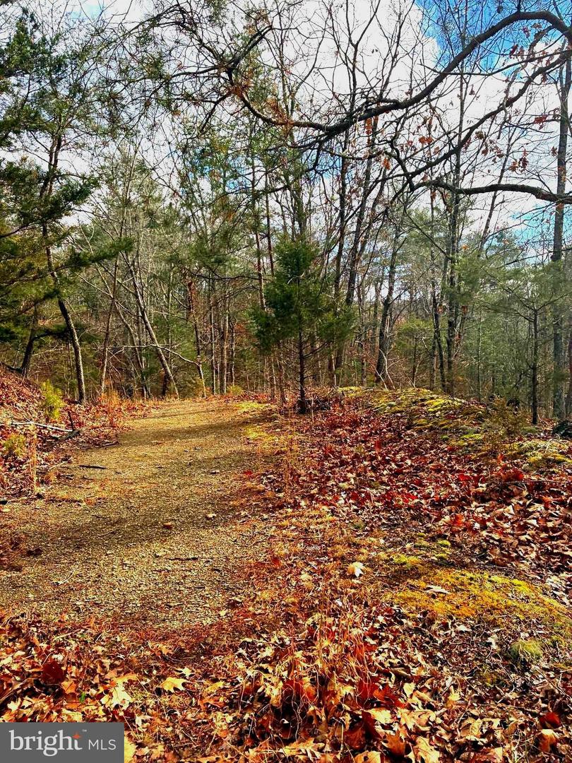 KING ST, BASYE, Virginia 22810, ,Land,For sale,KING ST,VASH2013230 MLS # VASH2013230 KING ST, BASYE, Virginia 22810, ,Land,For sale,KING ST,VASH2013230 MLS # VASH2013230