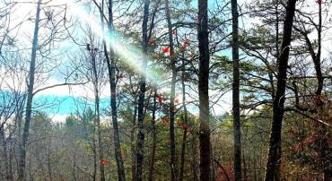 KING ST, BASYE, Virginia 22810, ,Land,For sale,KING ST,VASH2013230 MLS # VASH2013230