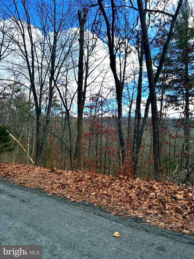 SPITZ LN, BASYE, Virginia 22810, ,Land,For sale,SPITZ LN,VASH2013232 MLS # VASH2013232 SPITZ LN, BASYE, Virginia 22810, ,Land,For sale,SPITZ LN,VASH2013232 MLS # VASH2013232