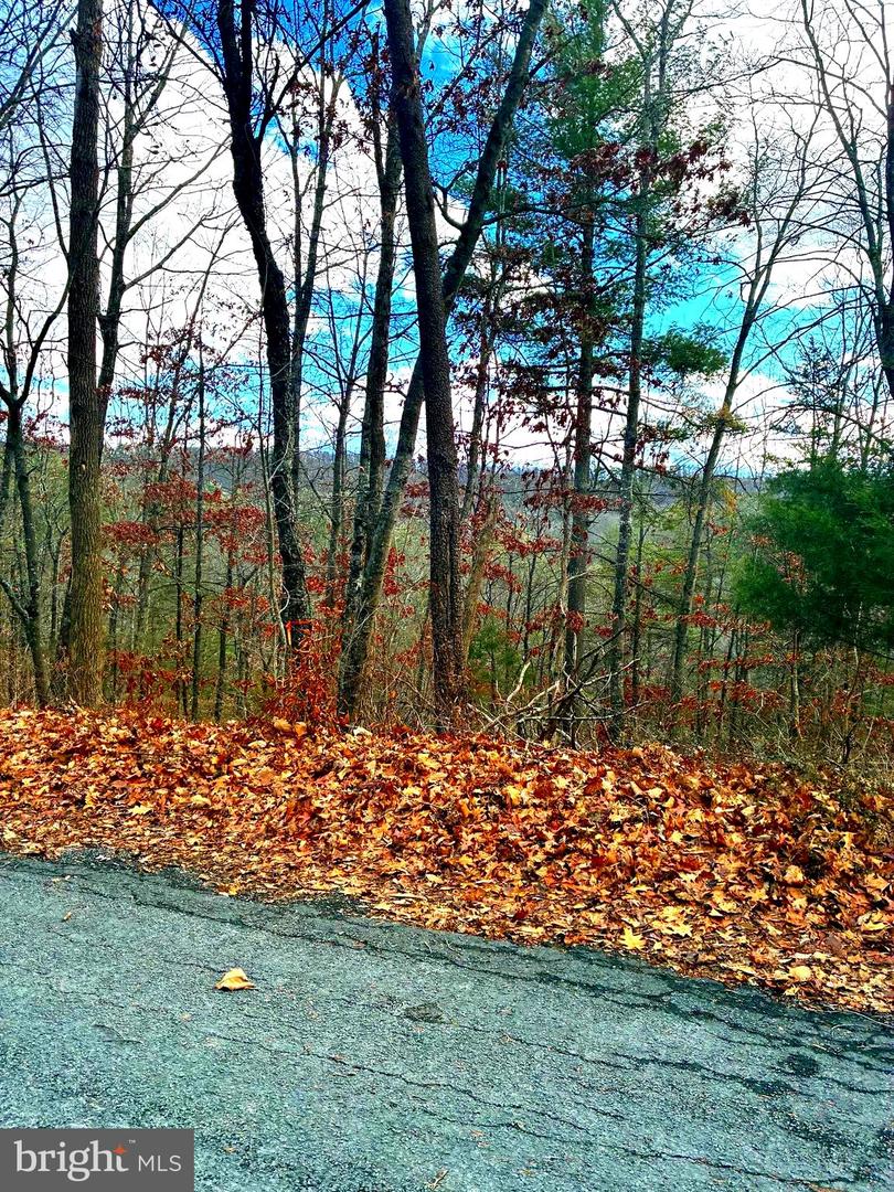 SPITZ LN, BASYE, Virginia 22810, ,Land,For sale,SPITZ LN,VASH2013232 MLS # VASH2013232 SPITZ LN, BASYE, Virginia 22810, ,Land,For sale,SPITZ LN,VASH2013232 MLS # VASH2013232