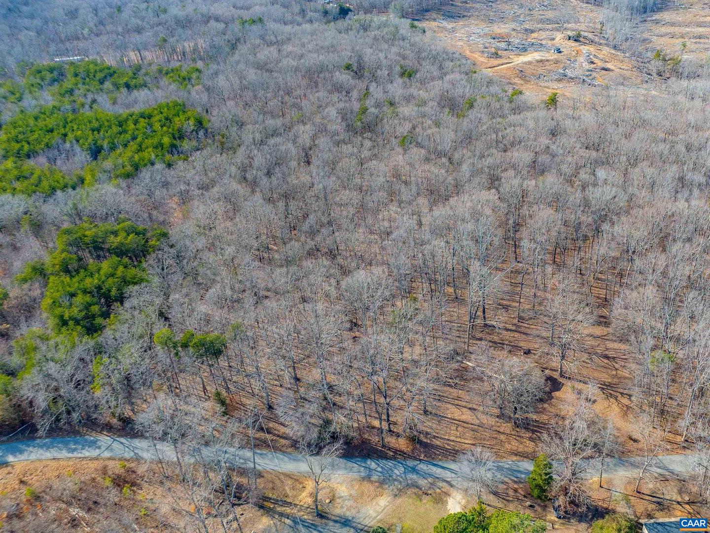 TBD REDD SHOP RD, FARMVILLE, Virginia 23901, ,Land,For sale,TBD REDD SHOP RD,673289 MLS # 673289 TBD REDD SHOP RD, FARMVILLE, Virginia 23901, ,Land,For sale,TBD REDD SHOP RD,673289 MLS # 673289