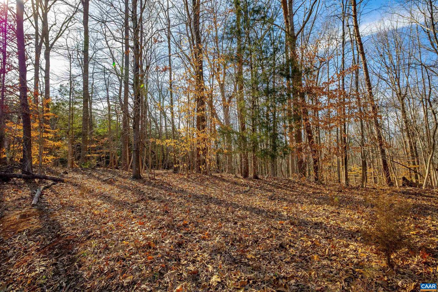TBD REDD SHOP RD, FARMVILLE, Virginia 23901, ,Land,For sale,TBD REDD SHOP RD,673289 MLS # 673289 TBD REDD SHOP RD, FARMVILLE, Virginia 23901, ,Land,For sale,TBD REDD SHOP RD,673289 MLS # 673289