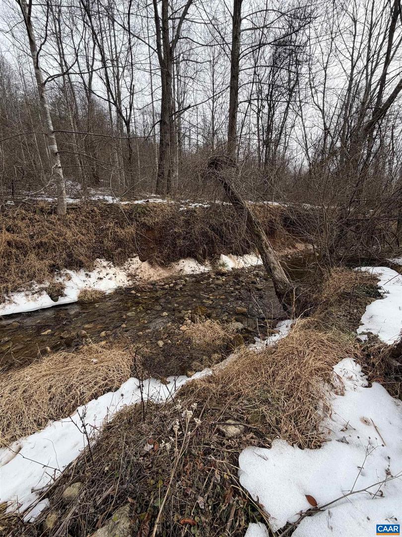 PERKINS HOLLOW LN, FABER, Virginia 22938, ,Land,For sale,PERKINS HOLLOW LN,673311 MLS # 673311