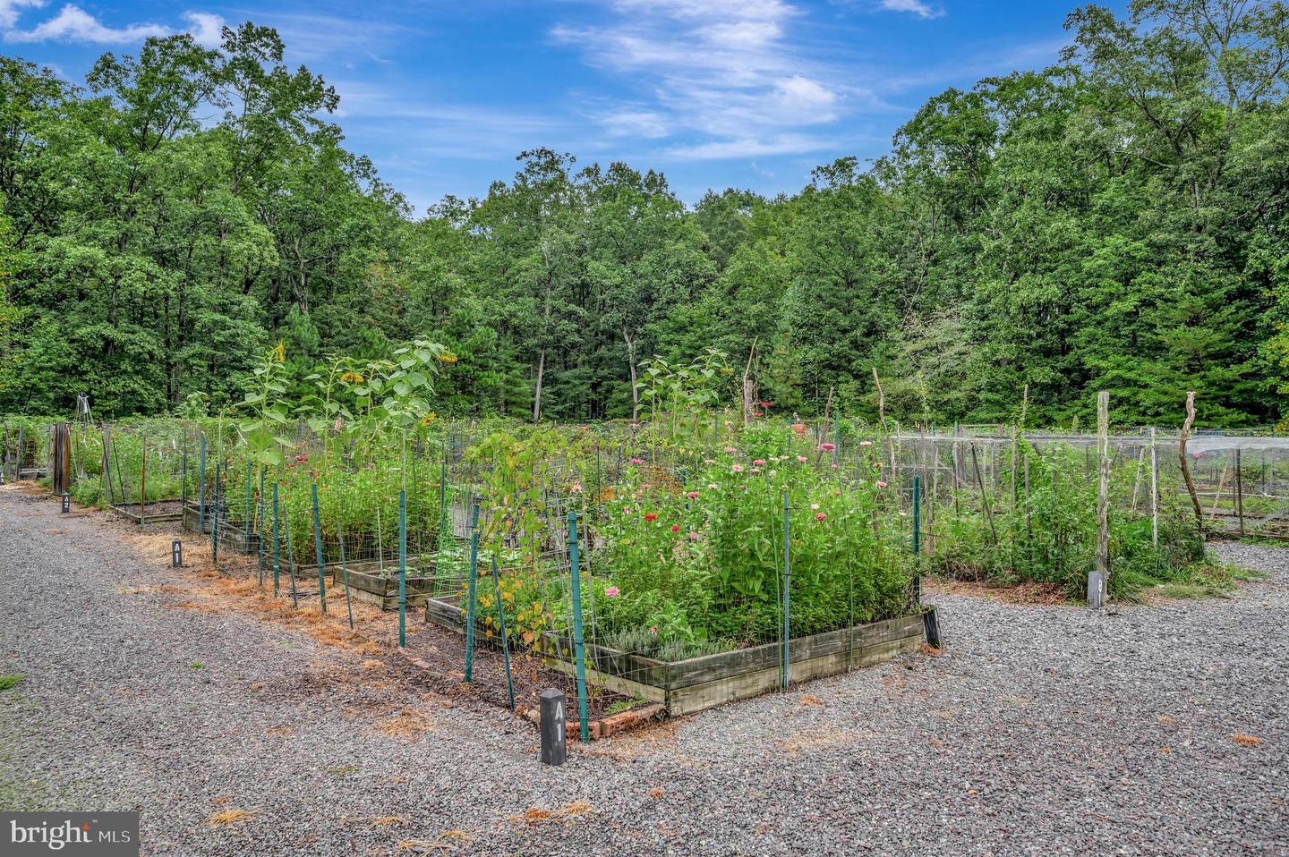 12001 HONOR BRIDGE FARM DR, SPOTSYLVANIA, Virginia 22551, 7 Bedrooms Bedrooms, ,5 BathroomsBathrooms,Residential,For sale,12001 HONOR BRIDGE FARM DR,VASP2038606 MLS # VASP2038606