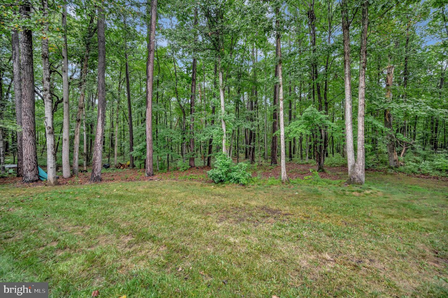 12001 HONOR BRIDGE FARM DR, SPOTSYLVANIA, Virginia 22551, 7 Bedrooms Bedrooms, ,5 BathroomsBathrooms,Residential,For sale,12001 HONOR BRIDGE FARM DR,VASP2038606 MLS # VASP2038606