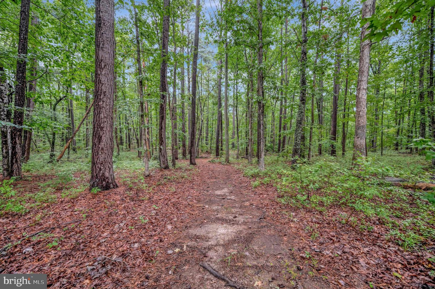 12001 HONOR BRIDGE FARM DR, SPOTSYLVANIA, Virginia 22551, 7 Bedrooms Bedrooms, ,5 BathroomsBathrooms,Residential,For sale,12001 HONOR BRIDGE FARM DR,VASP2038606 MLS # VASP2038606