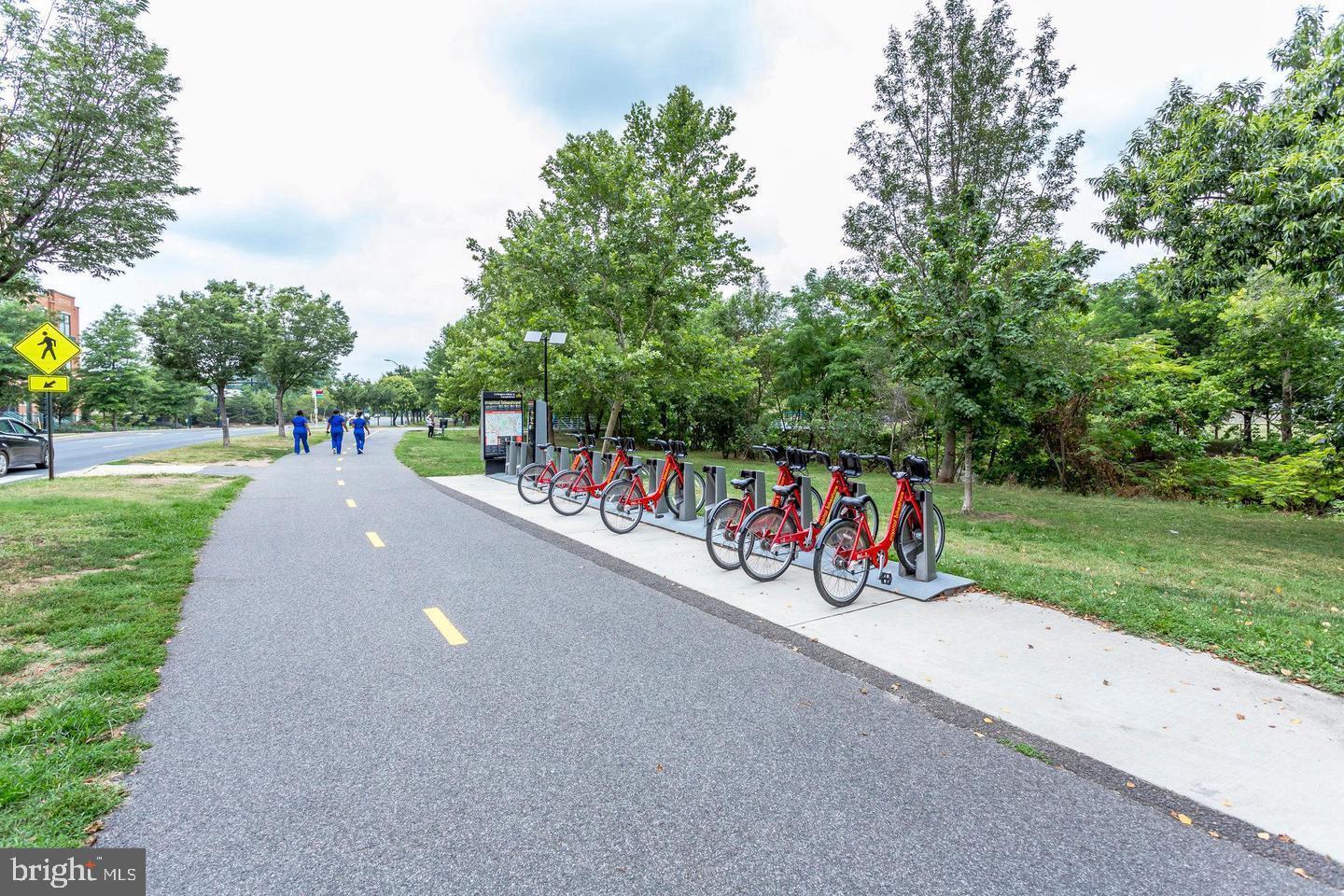 4651 36TH ST S, ARLINGTON, Virginia 22206, 3 Bedrooms Bedrooms, ,2 BathroomsBathrooms,Residential,For sale,4651 36TH ST S,VAAR2068684 MLS # VAAR2068684 4651 36TH ST S, ARLINGTON, Virginia 22206, 3 Bedrooms Bedrooms, ,2 BathroomsBathrooms,Residential,For sale,4651 36TH ST S,VAAR2068684 MLS # VAAR2068684