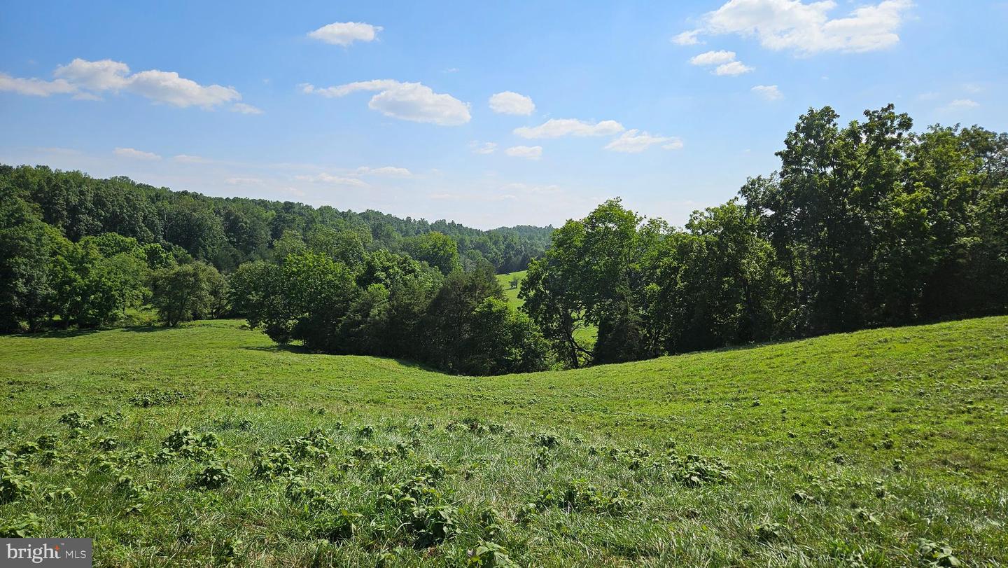 9534 SPRING HILL, RIXEYVILLE, Virginia 22737, 3 Bedrooms Bedrooms, 13 Rooms Rooms,1 BathroomBathrooms,Farm,For sale,9534 SPRING HILL,VACU2012680 MLS # VACU2012680