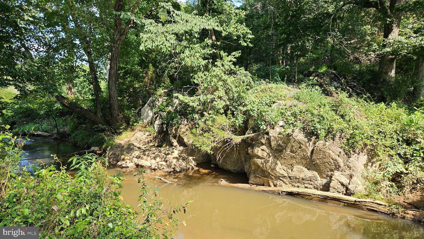 9534 SPRING HILL, RIXEYVILLE, Virginia 22737, 3 Bedrooms Bedrooms, 13 Rooms Rooms,1 BathroomBathrooms,Farm,For sale,9534 SPRING HILL,VACU2012680 MLS # VACU2012680