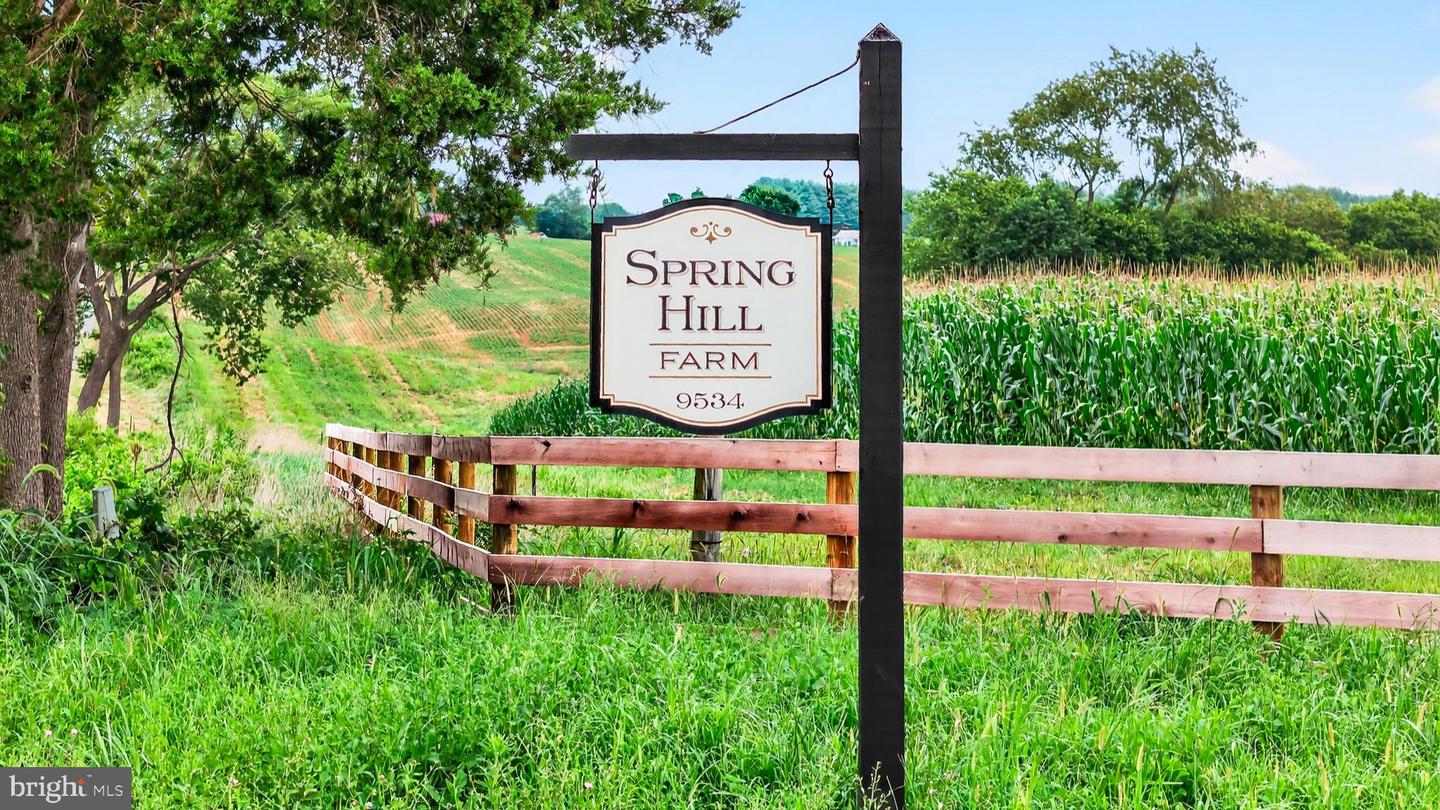 9534 SPRING HILL, RIXEYVILLE, Virginia 22737, 3 Bedrooms Bedrooms, 13 Rooms Rooms,1 BathroomBathrooms,Farm,For sale,9534 SPRING HILL,VACU2012680 MLS # VACU2012680
