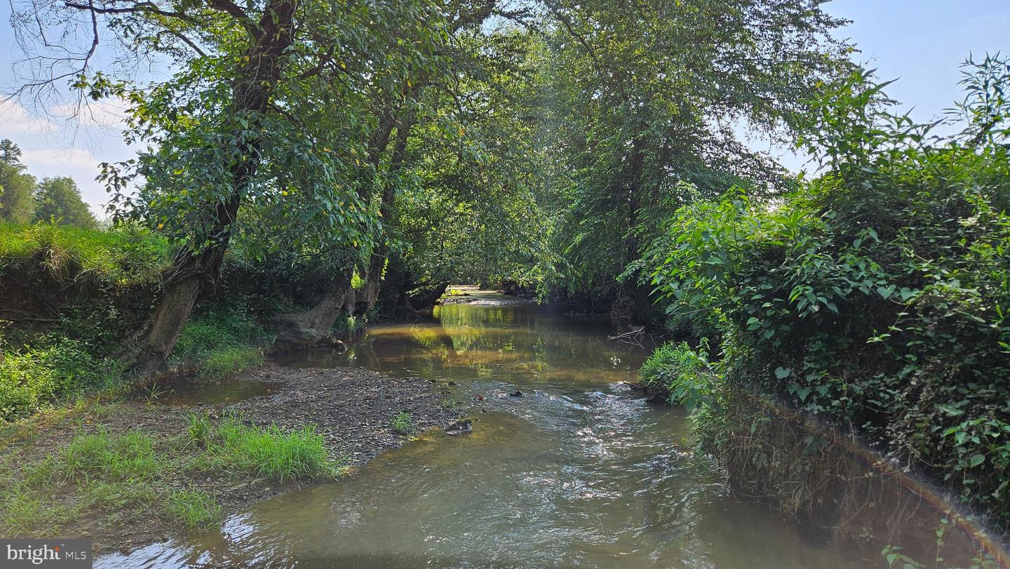 9534 SPRING HILL, RIXEYVILLE, Virginia 22737, 3 Bedrooms Bedrooms, 13 Rooms Rooms,1 BathroomBathrooms,Farm,For sale,9534 SPRING HILL,VACU2012680 MLS # VACU2012680