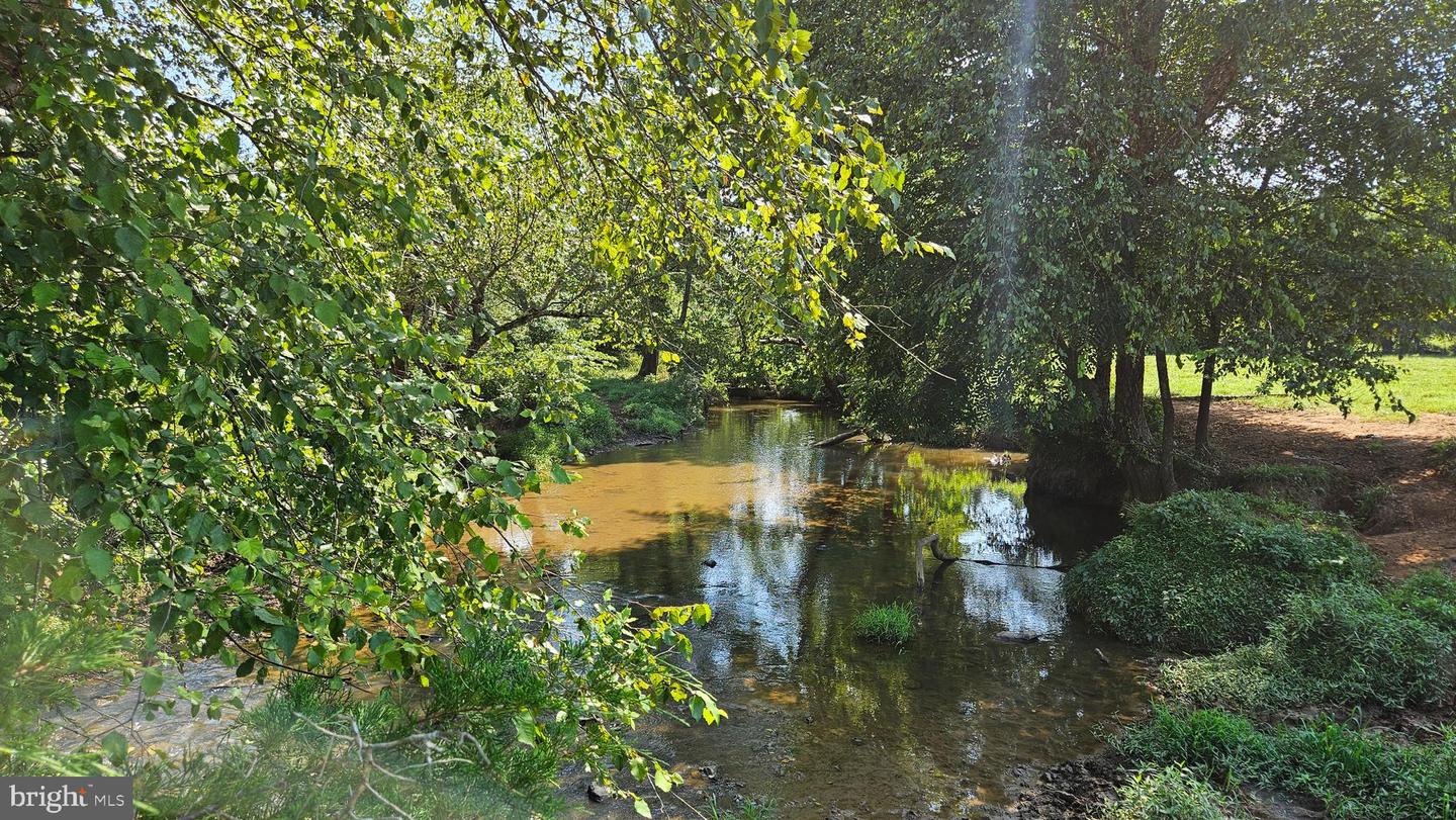 9534 SPRING HILL, RIXEYVILLE, Virginia 22737, 3 Bedrooms Bedrooms, 13 Rooms Rooms,1 BathroomBathrooms,Farm,For sale,9534 SPRING HILL,VACU2012680 MLS # VACU2012680