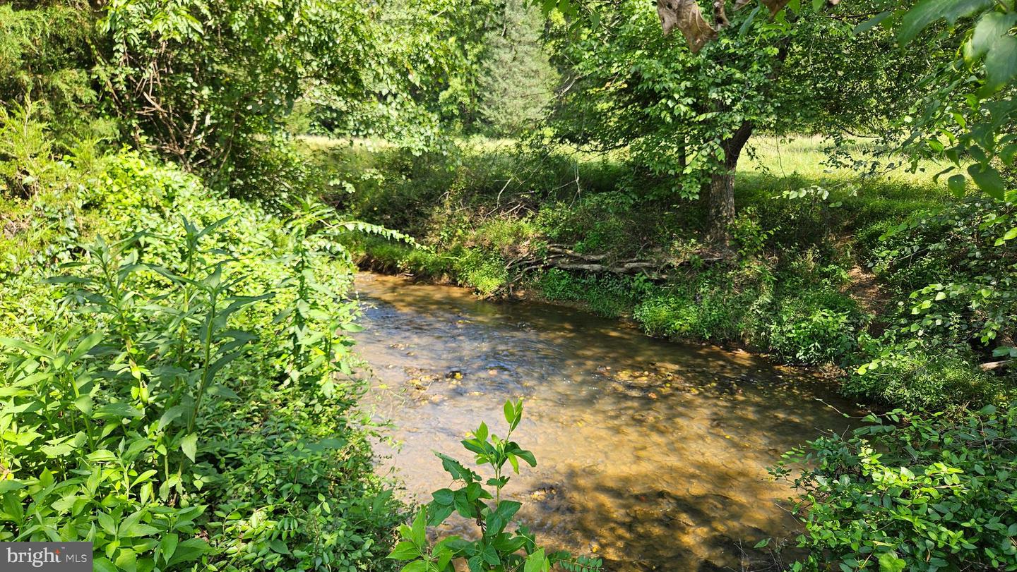 9534 SPRING HILL, RIXEYVILLE, Virginia 22737, 3 Bedrooms Bedrooms, 13 Rooms Rooms,1 BathroomBathrooms,Farm,For sale,9534 SPRING HILL,VACU2012680 MLS # VACU2012680