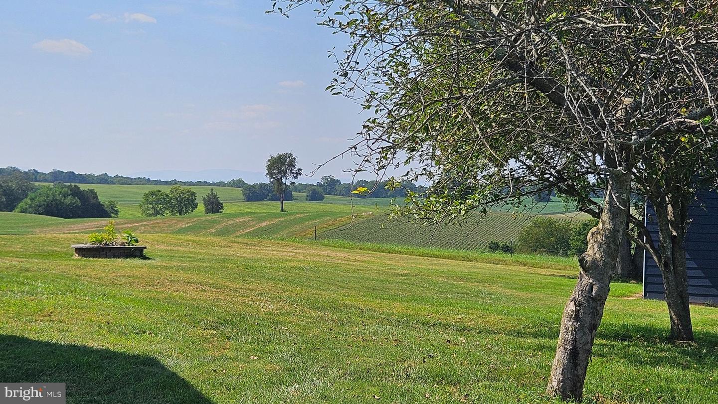 9534 SPRING HILL, RIXEYVILLE, Virginia 22737, 3 Bedrooms Bedrooms, 13 Rooms Rooms,1 BathroomBathrooms,Farm,For sale,9534 SPRING HILL,VACU2012680 MLS # VACU2012680