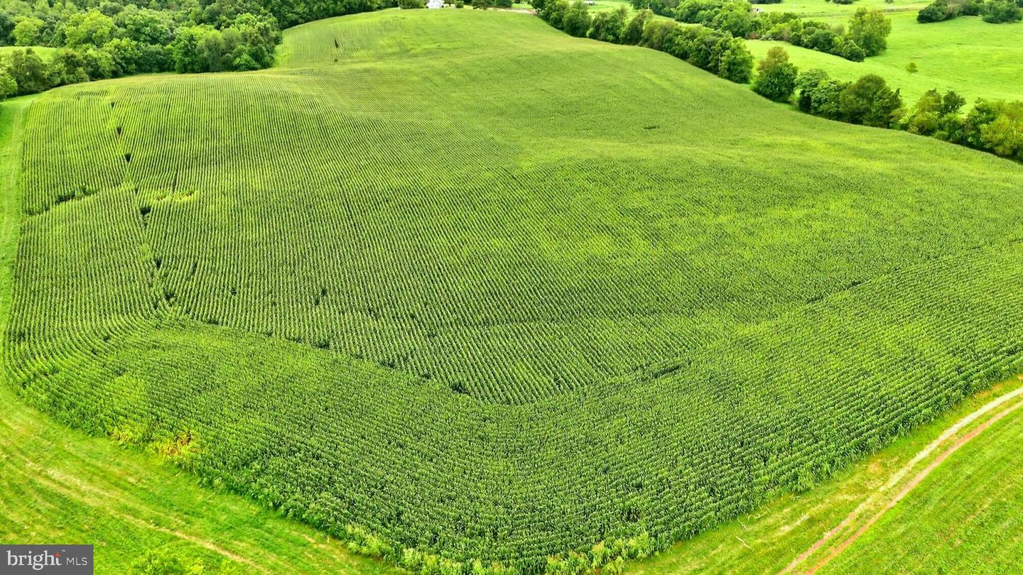 9534 SPRING HILL, RIXEYVILLE, Virginia 22737, 3 Bedrooms Bedrooms, 13 Rooms Rooms,1 BathroomBathrooms,Farm,For sale,9534 SPRING HILL,VACU2012680 MLS # VACU2012680