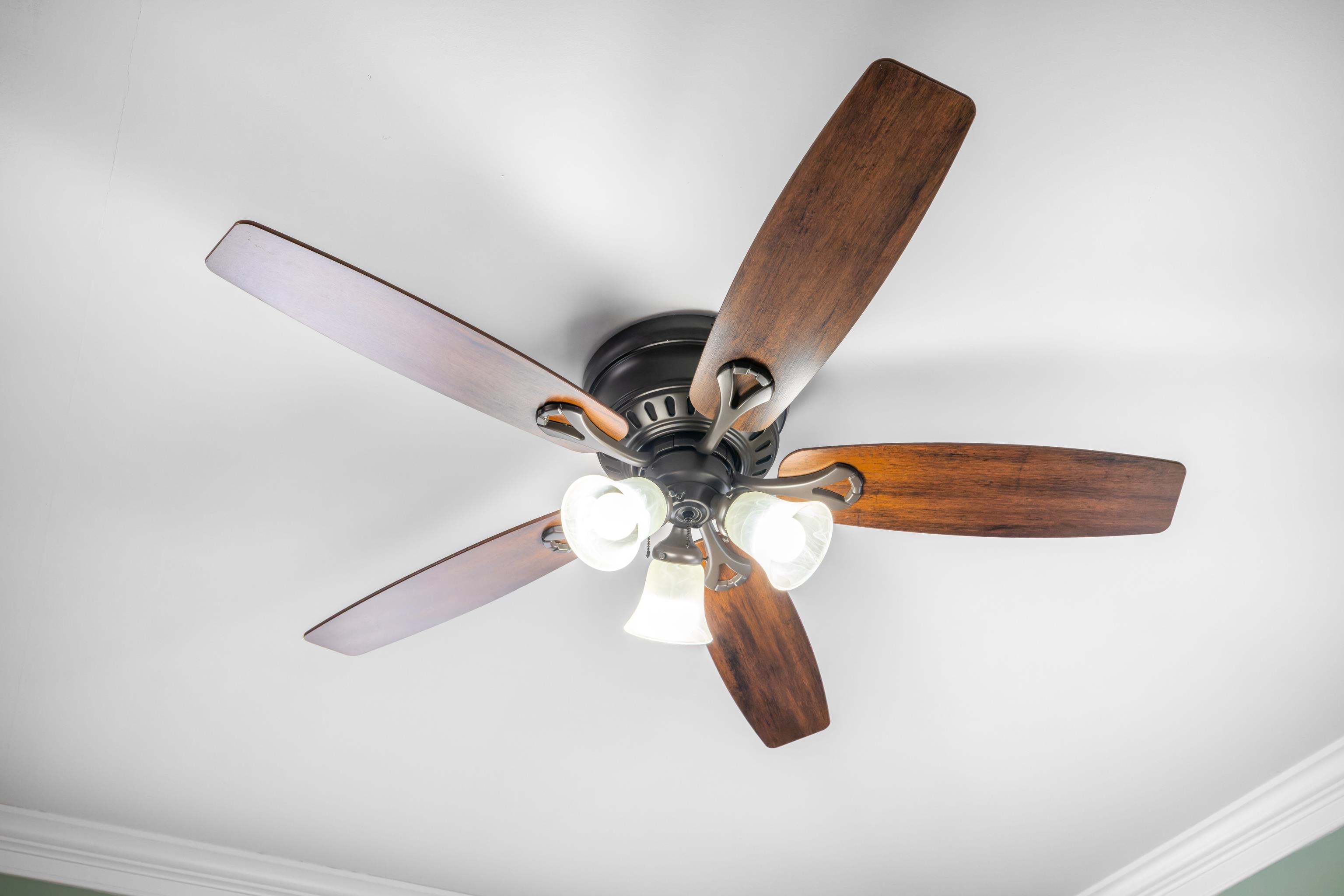 853 SHERWOOD AVE, WAYNESBORO, Virginia 22980, 3 Bedrooms Bedrooms, ,2 BathroomsBathrooms,Residential,853 SHERWOOD AVE,673333 MLS # 673333