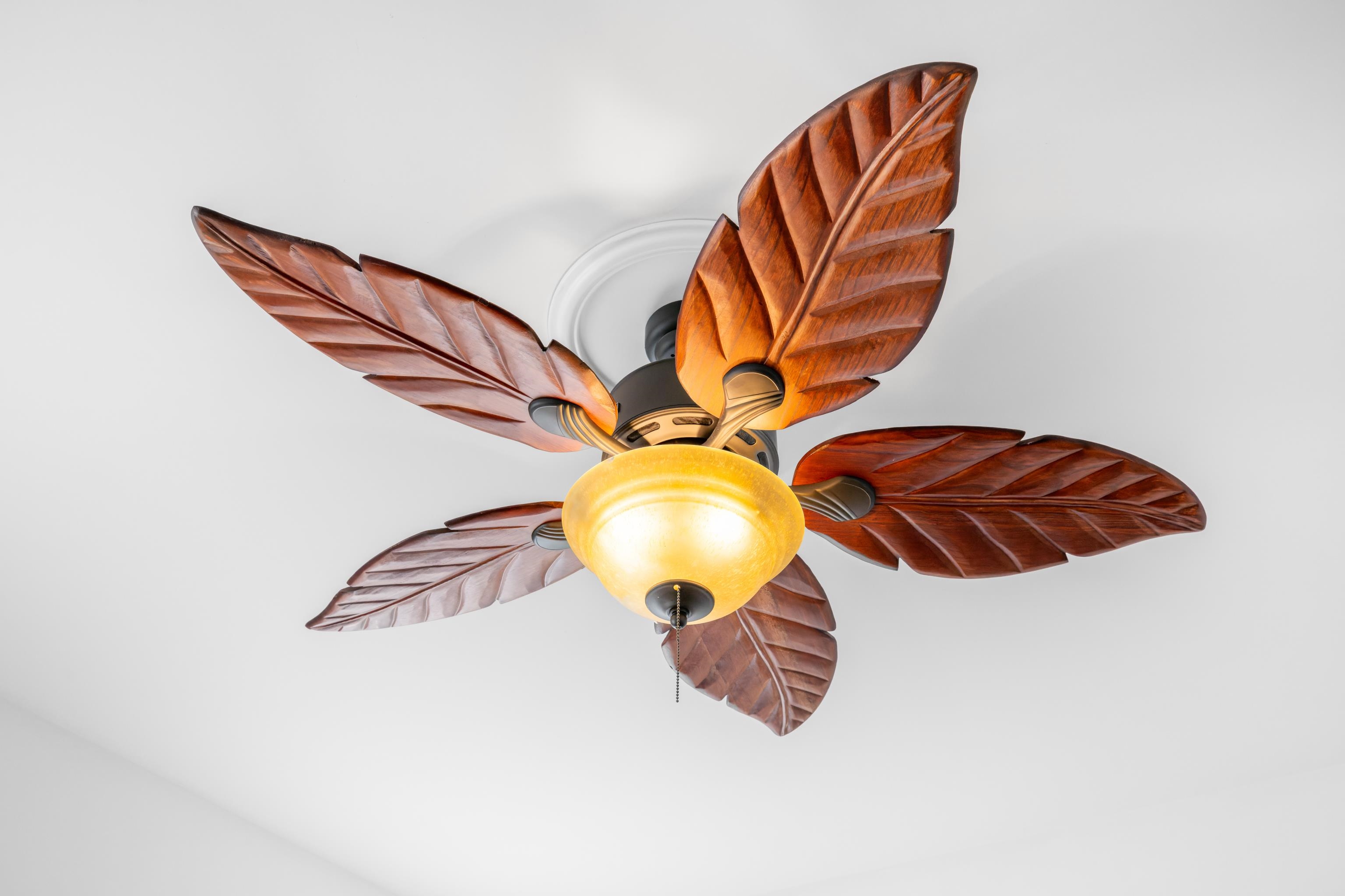 853 SHERWOOD AVE, WAYNESBORO, Virginia 22980, 3 Bedrooms Bedrooms, ,2 BathroomsBathrooms,Residential,853 SHERWOOD AVE,673333 MLS # 673333