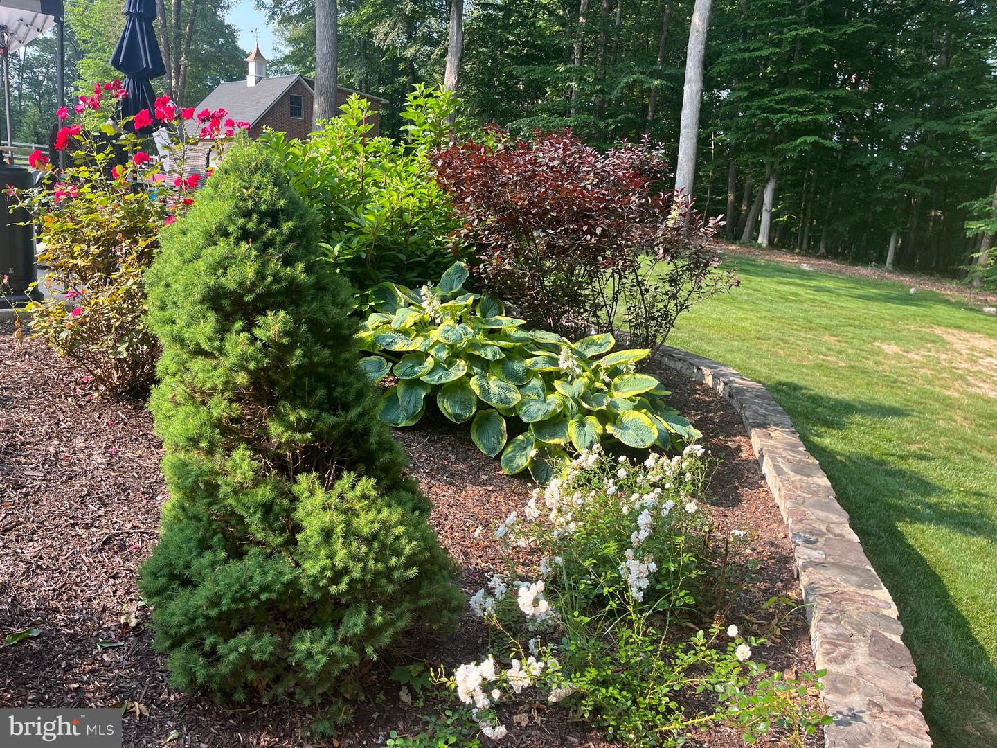 6704 CEDAR VIEW CT, CLIFTON, Virginia 20124, 5 Bedrooms Bedrooms, ,6 BathroomsBathrooms,Residential,For sale,6704 CEDAR VIEW CT,VAFX2289800 MLS # VAFX2289800 6704 CEDAR VIEW CT, CLIFTON, Virginia 20124, 5 Bedrooms Bedrooms, ,6 BathroomsBathrooms,Residential,For sale,6704 CEDAR VIEW CT,VAFX2289800 MLS # VAFX2289800