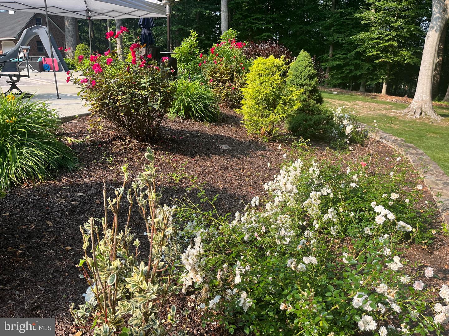 6704 CEDAR VIEW CT, CLIFTON, Virginia 20124, 5 Bedrooms Bedrooms, ,6 BathroomsBathrooms,Residential,For sale,6704 CEDAR VIEW CT,VAFX2289800 MLS # VAFX2289800 6704 CEDAR VIEW CT, CLIFTON, Virginia 20124, 5 Bedrooms Bedrooms, ,6 BathroomsBathrooms,Residential,For sale,6704 CEDAR VIEW CT,VAFX2289800 MLS # VAFX2289800