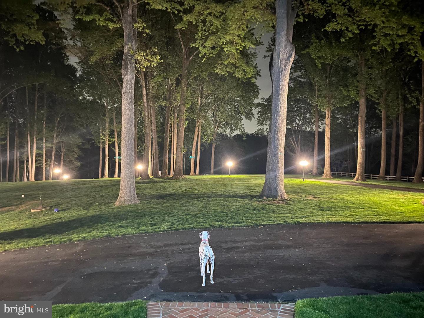 6704 CEDAR VIEW CT, CLIFTON, Virginia 20124, 5 Bedrooms Bedrooms, ,6 BathroomsBathrooms,Residential,For sale,6704 CEDAR VIEW CT,VAFX2289800 MLS # VAFX2289800 6704 CEDAR VIEW CT, CLIFTON, Virginia 20124, 5 Bedrooms Bedrooms, ,6 BathroomsBathrooms,Residential,For sale,6704 CEDAR VIEW CT,VAFX2289800 MLS # VAFX2289800