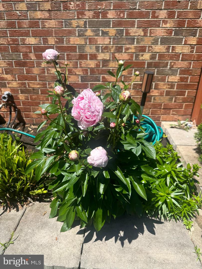 WARRENTON ROAD, GOLDVEIN, Virginia 22720, ,Land,For sale,WARRENTON ROAD,VAFQ2020588 MLS # VAFQ2020588