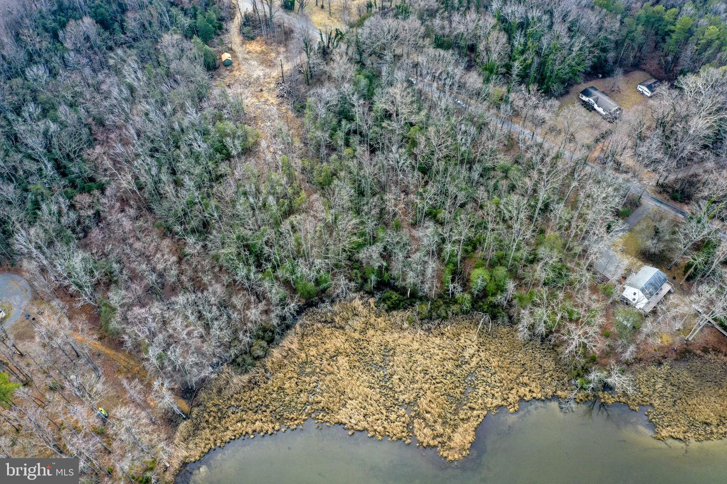 0 ROWES LANDING RD, HEATHSVILLE, Virginia 22473, ,Land,For sale,0 ROWES LANDING RD,VANV2001888 MLS # VANV2001888