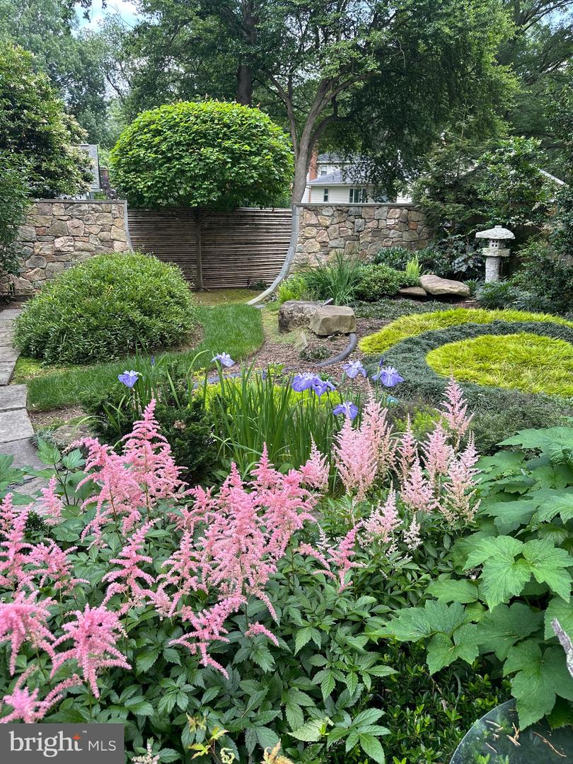 8527 PAPPAS WAY, ANNANDALE, Virginia 22003, 4 Bedrooms Bedrooms, ,3 BathroomsBathrooms,Residential,For sale,8527 PAPPAS WAY,VAFX2284576 MLS # VAFX2284576 8527 PAPPAS WAY, ANNANDALE, Virginia 22003, 4 Bedrooms Bedrooms, ,3 BathroomsBathrooms,Residential,For sale,8527 PAPPAS WAY,VAFX2284576 MLS # VAFX2284576