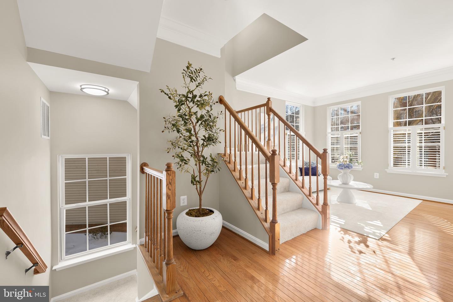 168 MARTIN LN, ALEXANDRIA, Virginia 22304, 3 Bedrooms Bedrooms, ,2 BathroomsBathrooms,Residential,For sale,168 MARTIN LN,VAAX2053338 MLS # VAAX2053338