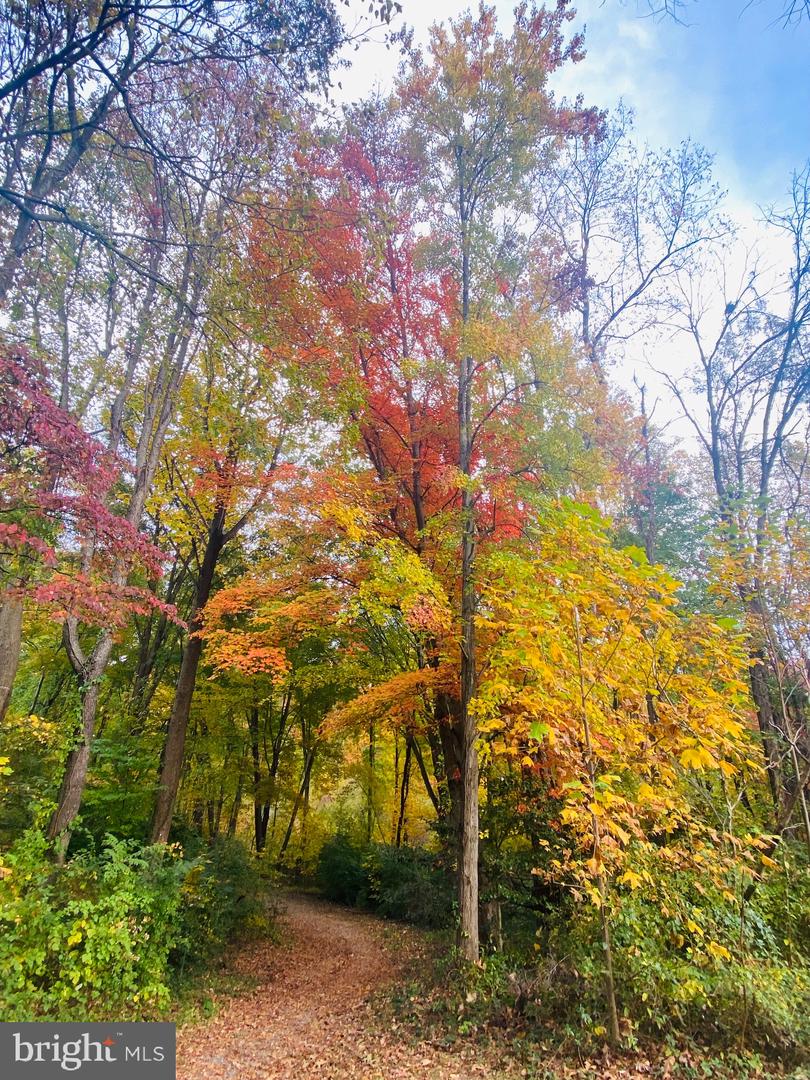 11573 HEMINGWAY DR, RESTON, Virginia 20194, 3 Bedrooms Bedrooms, ,2 BathroomsBathrooms,Residential,For sale,11573 HEMINGWAY DR,VAFX2288266 MLS # VAFX2288266 11573 HEMINGWAY DR, RESTON, Virginia 20194, 3 Bedrooms Bedrooms, ,2 BathroomsBathrooms,Residential,For sale,11573 HEMINGWAY DR,VAFX2288266 MLS # VAFX2288266