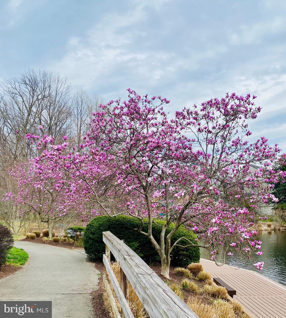 11573 HEMINGWAY DR, RESTON, Virginia 20194, 3 Bedrooms Bedrooms, ,2 BathroomsBathrooms,Residential,For sale,11573 HEMINGWAY DR,VAFX2288266 MLS # VAFX2288266 11573 HEMINGWAY DR, RESTON, Virginia 20194, 3 Bedrooms Bedrooms, ,2 BathroomsBathrooms,Residential,For sale,11573 HEMINGWAY DR,VAFX2288266 MLS # VAFX2288266