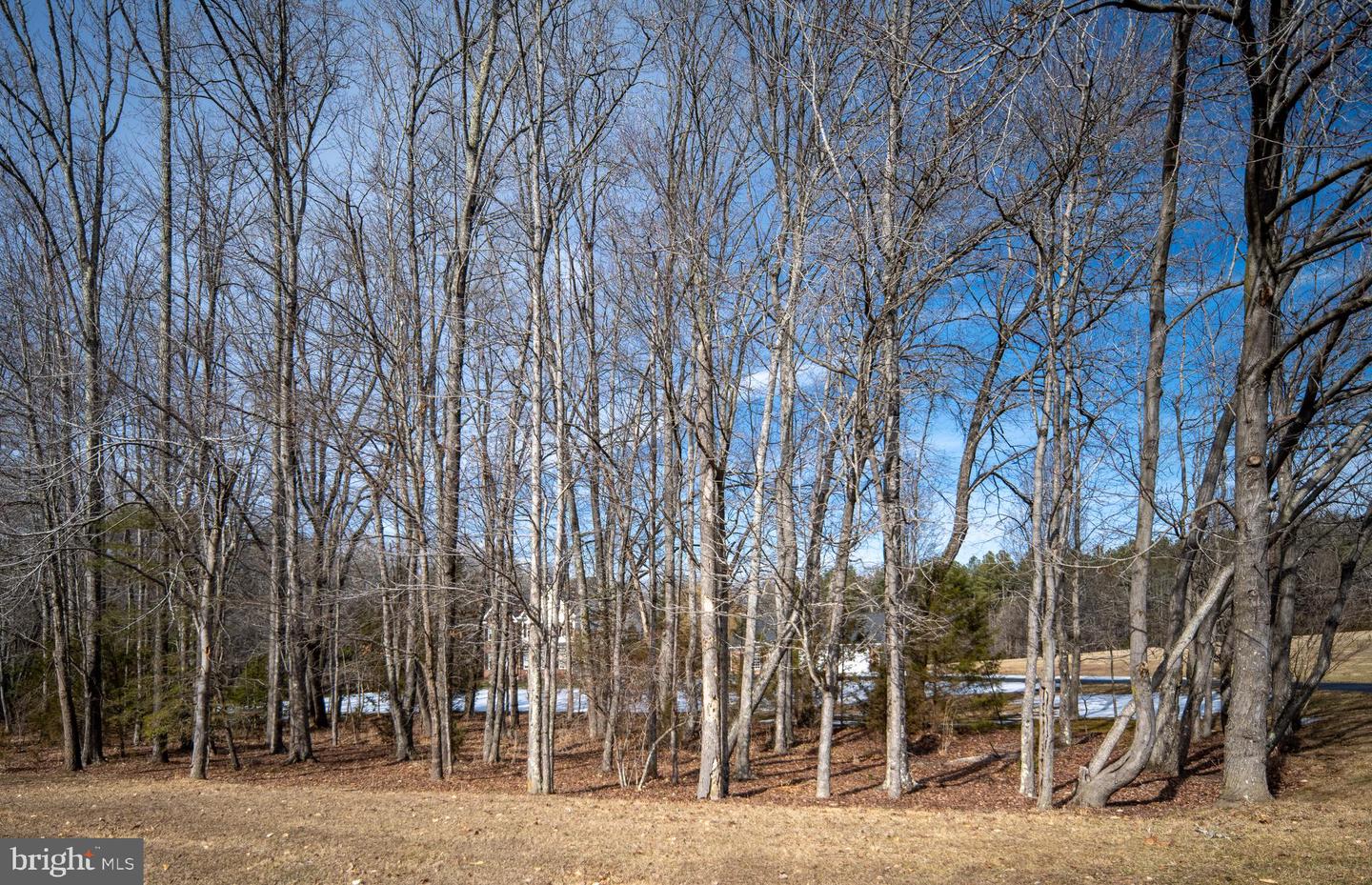 24 GIBSON DR, FREDERICKSBURG, Virginia 22406, 5 Bedrooms Bedrooms, ,5 BathroomsBathrooms,Residential,For sale,24 GIBSON DR,VAST2045850 MLS # VAST2045850 24 GIBSON DR, FREDERICKSBURG, Virginia 22406, 5 Bedrooms Bedrooms, ,5 BathroomsBathrooms,Residential,For sale,24 GIBSON DR,VAST2045850 MLS # VAST2045850