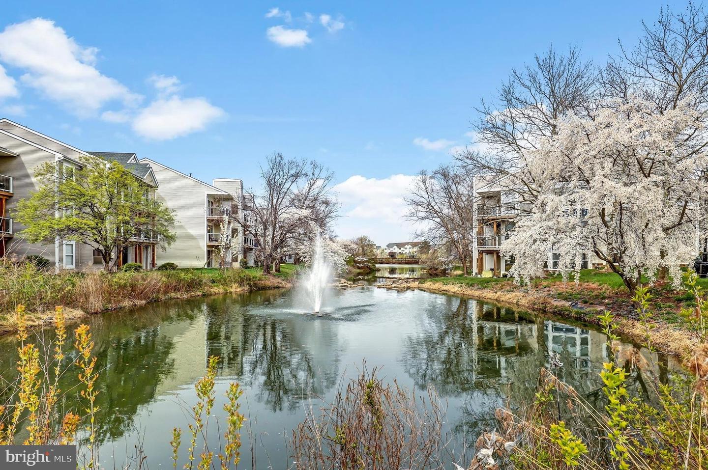 44156 NATALIE TER #301, ASHBURN, Virginia 20147, 2 Bedrooms Bedrooms, ,2 BathroomsBathrooms,Residential,For sale,44156 NATALIE TER #301,VALO2115362 MLS # VALO2115362 44156 NATALIE TER #301, ASHBURN, Virginia 20147, 2 Bedrooms Bedrooms, ,2 BathroomsBathrooms,Residential,For sale,44156 NATALIE TER #301,VALO2115362 MLS # VALO2115362