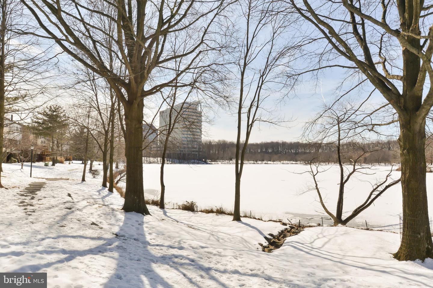 7746 NEW PROVIDENCE DR #93, FALLS CHURCH, Virginia 22042, 3 Bedrooms Bedrooms, ,2 BathroomsBathrooms,Residential,For sale,7746 NEW PROVIDENCE DR #93,VAFX2289744 MLS # VAFX2289744