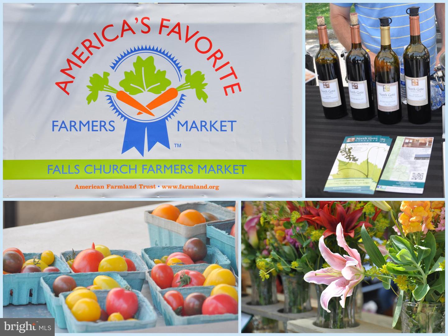 7746 NEW PROVIDENCE DR #93, FALLS CHURCH, Virginia 22042, 3 Bedrooms Bedrooms, ,2 BathroomsBathrooms,Residential,For sale,7746 NEW PROVIDENCE DR #93,VAFX2289744 MLS # VAFX2289744