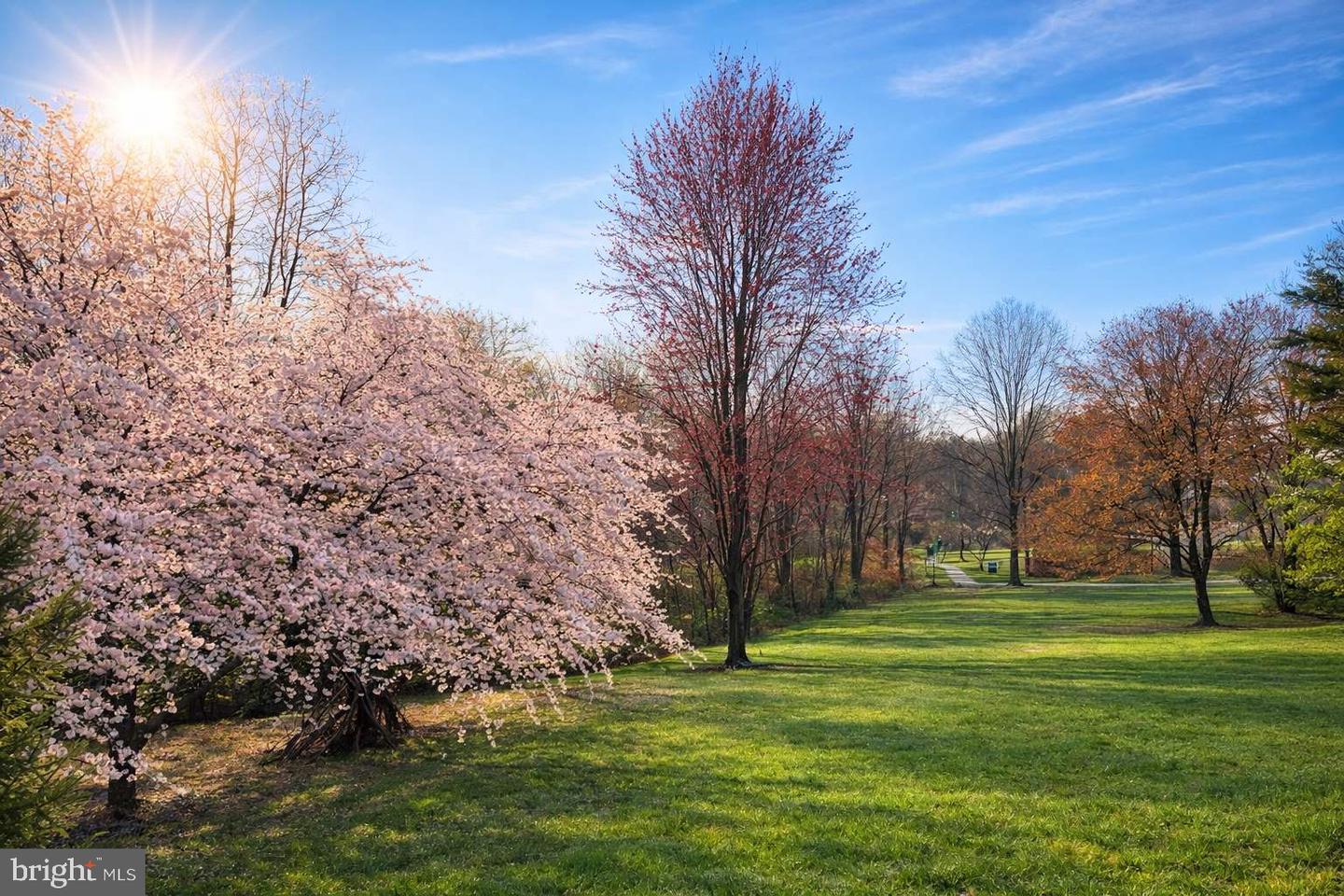 6127 DONIVAL SQ, ALEXANDRIA, Virginia 22315, 3 Bedrooms Bedrooms, ,3 BathroomsBathrooms,Residential,For sale,6127 DONIVAL SQ,VAFX2290078 MLS # VAFX2290078 6127 DONIVAL SQ, ALEXANDRIA, Virginia 22315, 3 Bedrooms Bedrooms, ,3 BathroomsBathrooms,Residential,For sale,6127 DONIVAL SQ,VAFX2290078 MLS # VAFX2290078