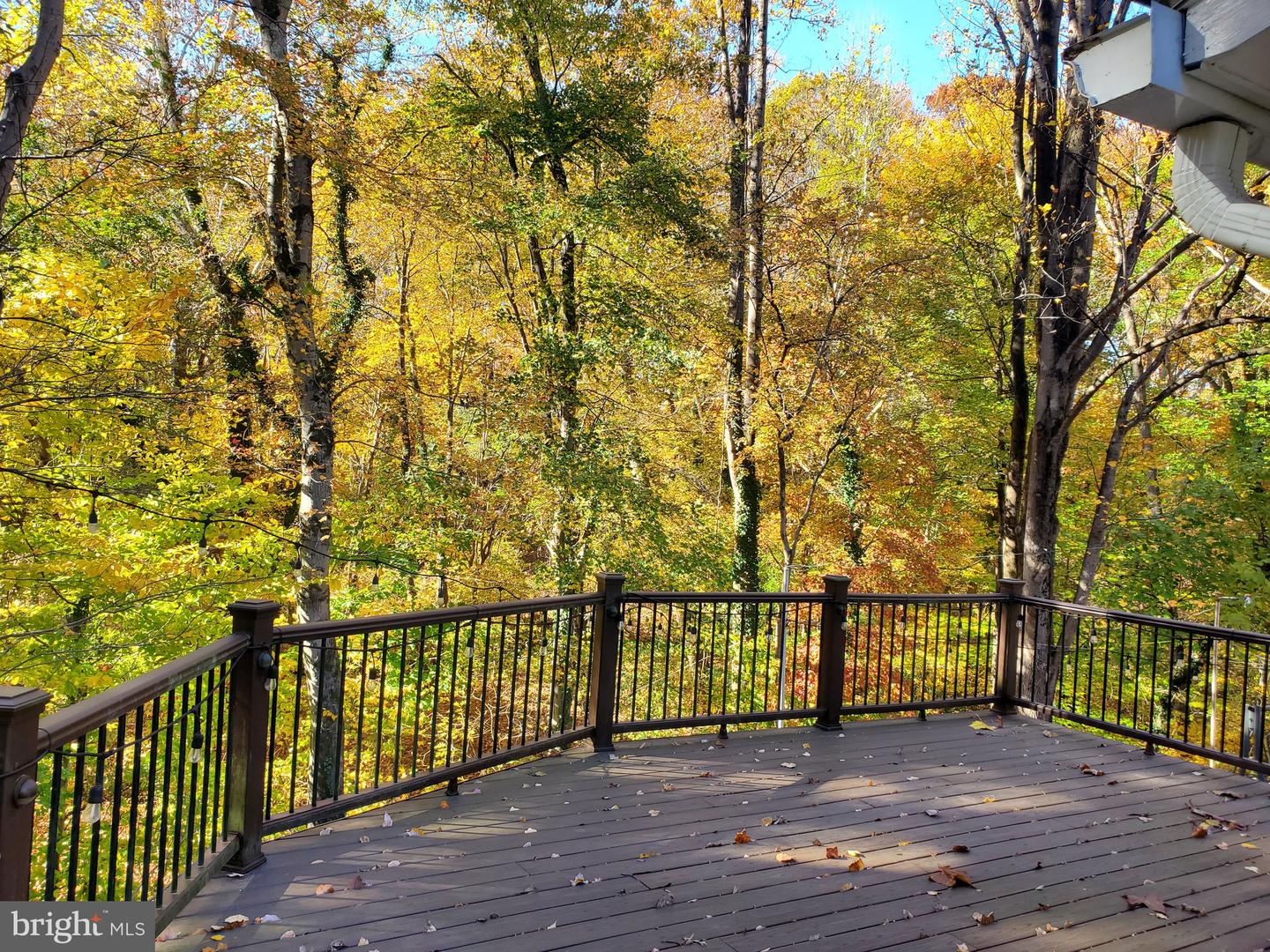 5236 AMPTHILL DR, ALEXANDRIA, Virginia 22312, 4 Bedrooms Bedrooms, ,3 BathroomsBathrooms,Residential,For sale,5236 AMPTHILL DR,VAFX2290468 MLS # VAFX2290468