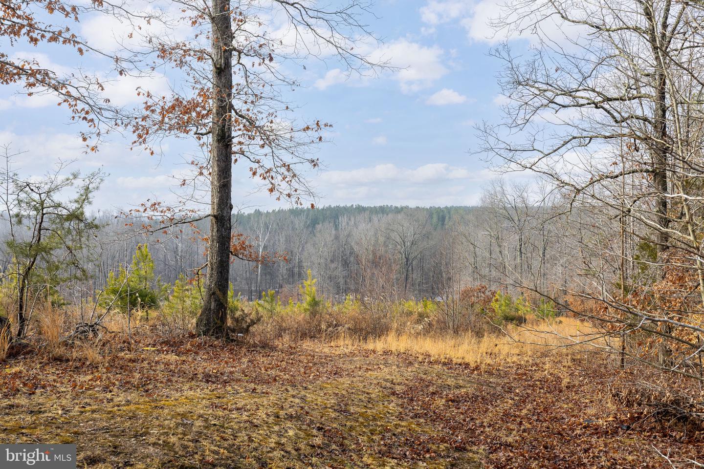 2481 YANCEYVILLE RD, LOUISA, Virginia 23093, 3 Bedrooms Bedrooms, 16 Rooms Rooms,3 BathroomsBathrooms,Residential,For sale,2481 YANCEYVILLE RD,VALA2009278 MLS # VALA2009278