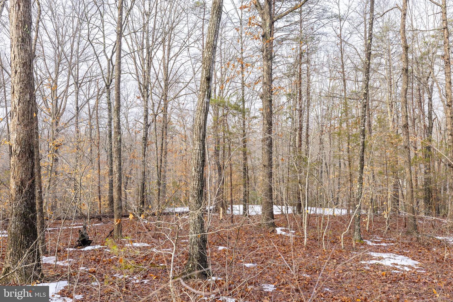 2481 YANCEYVILLE RD, LOUISA, Virginia 23093, 3 Bedrooms Bedrooms, 16 Rooms Rooms,3 BathroomsBathrooms,Residential,For sale,2481 YANCEYVILLE RD,VALA2009278 MLS # VALA2009278