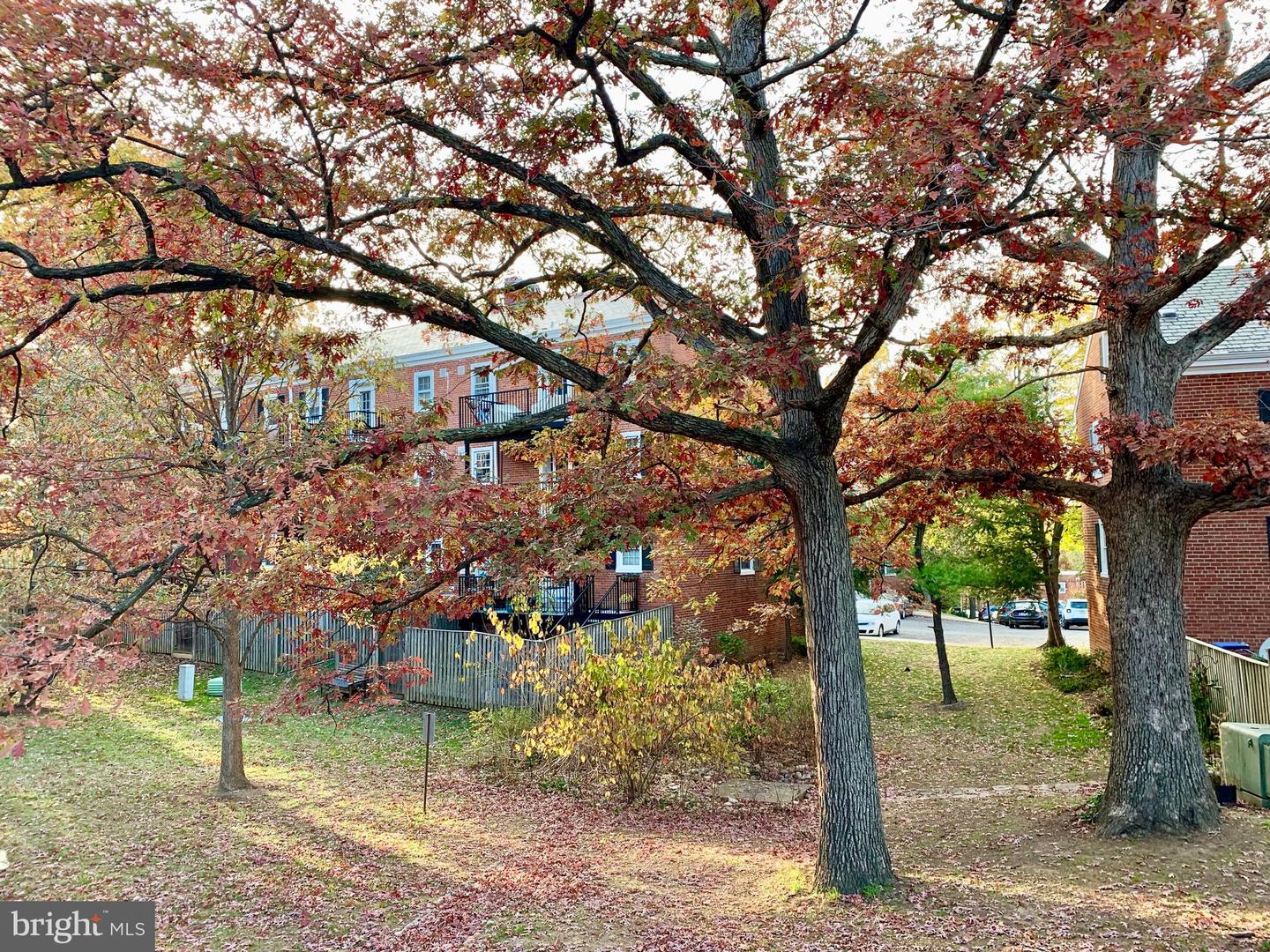 2856 S BUCHANAN ST #B1, ARLINGTON, Virginia 22206, 2 Bedrooms Bedrooms, 7 Rooms Rooms,1 BathroomBathrooms,Residential,For sale,2856 S BUCHANAN ST #B1,VAAR2068942 MLS # VAAR2068942