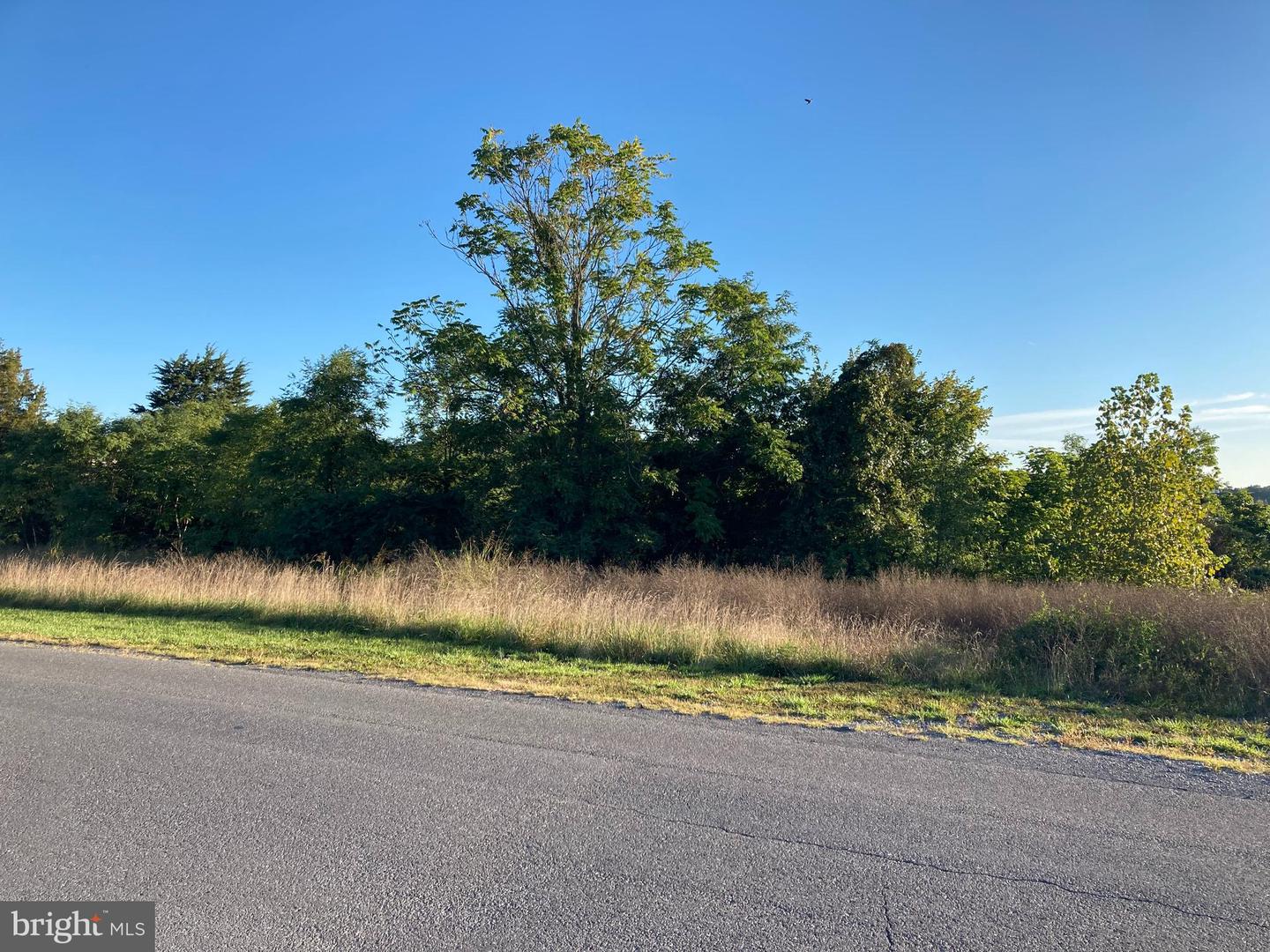 TBD SIGNAL KNOB, STRASBURG, Virginia 22657, ,Land,For sale,TBD SIGNAL KNOB,VASH2013608 MLS # VASH2013608