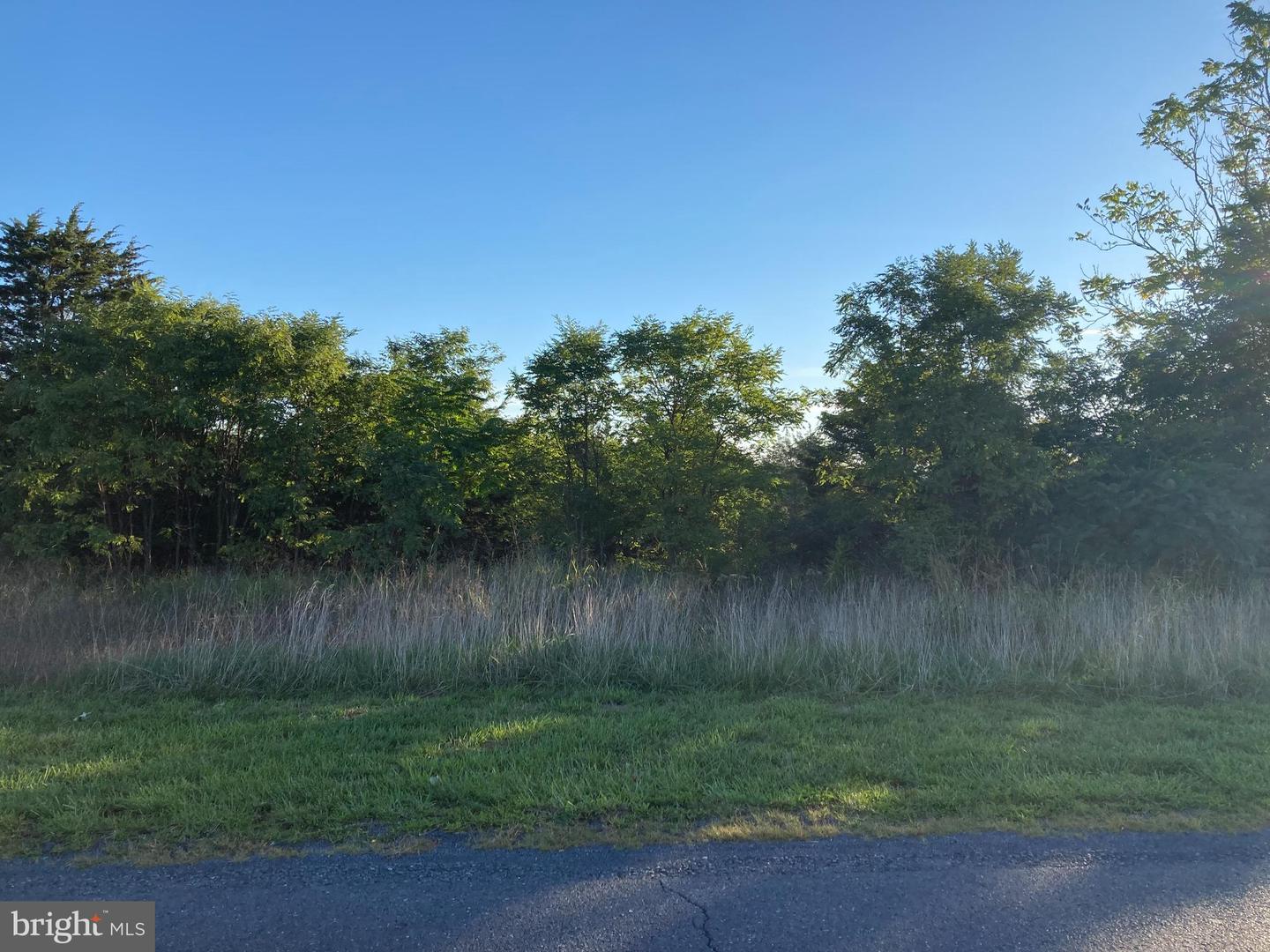 TBD SIGNAL KNOB, STRASBURG, Virginia 22657, ,Land,For sale,TBD SIGNAL KNOB,VASH2013608 MLS # VASH2013608