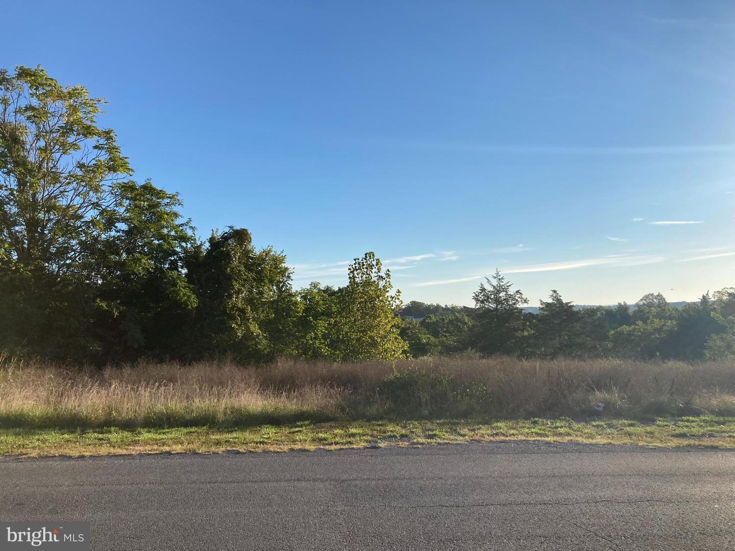 TBD SIGNAL KNOB, STRASBURG, Virginia 22657, ,Land,For sale,TBD SIGNAL KNOB,VASH2013608 MLS # VASH2013608