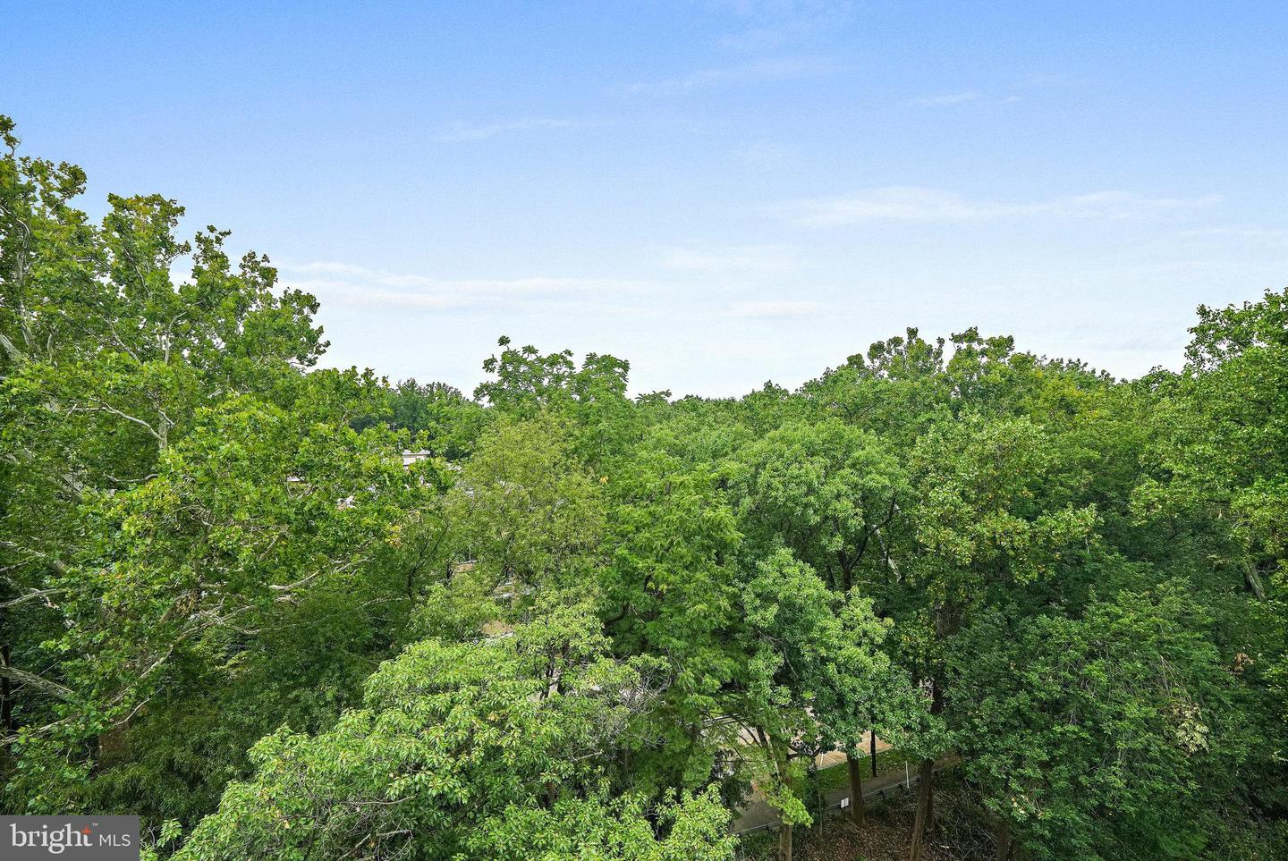 4101 CATHEDRAL AVE NW #1104, WASHINGTON, District Of Columbia 20016, 3 Bedrooms Bedrooms, ,2 BathroomsBathrooms,Residential,For sale,4101 CATHEDRAL AVE NW #1104,DCDC2225998 MLS # DCDC2225998